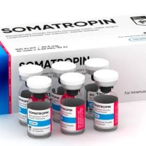 Somatropina (Pó) - Hilma Biocare - 10 frascos - 10IU/Frasco