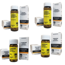 Pacote 2GETMUSCLE - Ciclo de ganho de massa seca - Iniciante (esteróide oral Turinabol) Hilma Biocare
