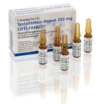 Testosterone-Enanthate-Eifelfango-250mg-5amp - Eifelfango – Image 1