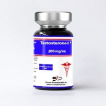 Test En 300mg - Saxon – Image 1