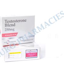 10 amp-Sustanon 250 - 250mg-ml 1ml-amp - Euro Pharmacies EU - 이미지 1