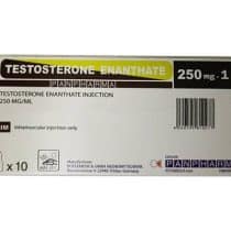 Testesteron Enanthate PanPharma 1x1 250 mg - IranHormone
