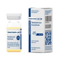 Testosteron Enantat 10 ml – 250 mg – Somatrop-Lab
